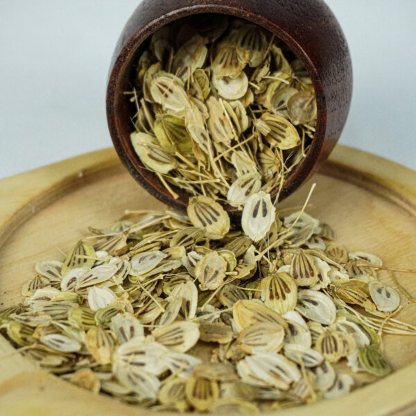 گلپر درشت