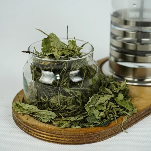 بادرنجبویه