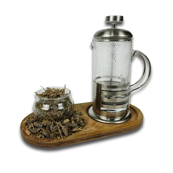 اسطوخودوس خارجی