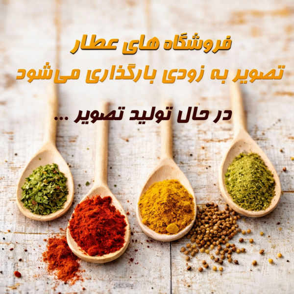 زرین گیاه - زرین گیاه بزرگترین پخش انواع ادویه و دمنوش در ایران چاشنی سیب زمینی پنیری