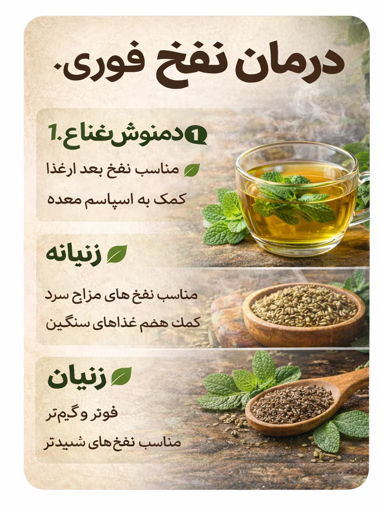 زرین گیاه - زرین گیاه بزرگترین پخش انواع ادویه و دمنوش در ایران درمان نفخ شکم فوری