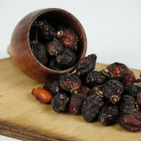 میوه نسترن