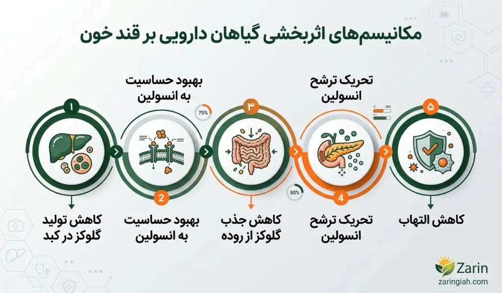 زرین گیاه - زرین گیاه بزرگترین پخش انواع ادویه و دمنوش در ایران مکانیسم اثر گیاهان دارویی در کنترل قند خون