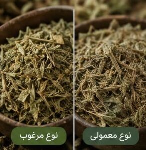 زرین گیاه - زرین گیاه بزرگترین پخش انواع ادویه و دمنوش در ایران زرین گیاه - زرین گیاه بزرگترین پخش انواع ادویه و دمنوش در ایران